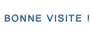 BONNE VISITE - BLOG